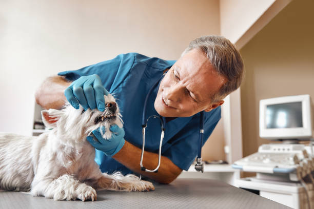 Best Emergency Gum Pain Relief  in Pennington, NJ