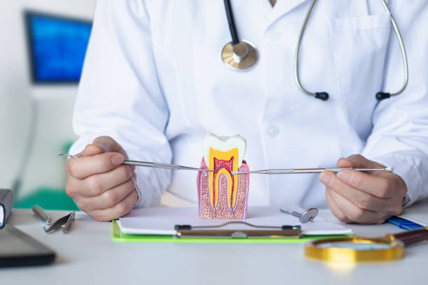 Best Knocked-Out Tooth Emergency  in Pennington, NJ